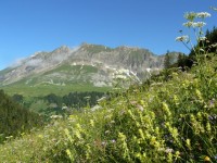 Le chaine des Aravis