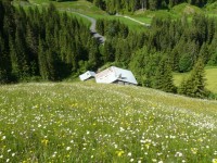 Chalets